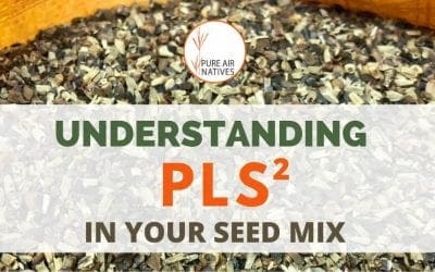 What is Pure Live Seed (PLS) & Its Value In Bulk Purchases