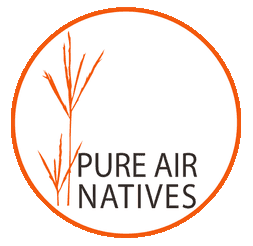 Pure Air Natives Seed & Grass
