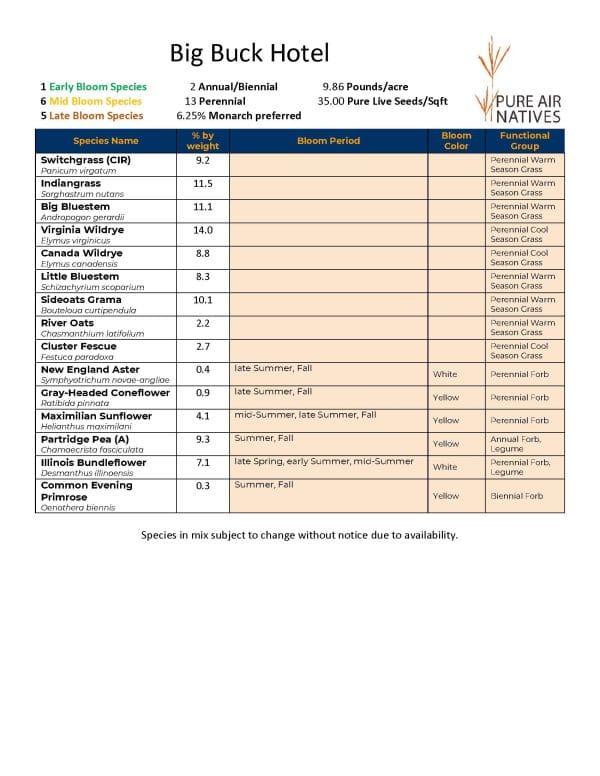 2024-2025 Big Buck Hotel Seed Mix