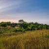 Beautiful native Midwest prairie overlooking a forest.