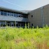 Erosion Control Blanket Grass Seed Mix