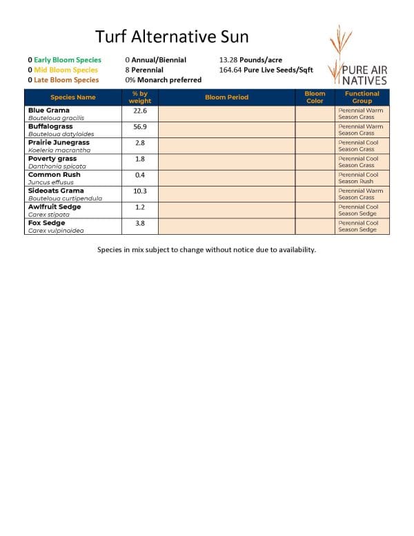 2024-2025 Turf Alternative Sun Seed Mix